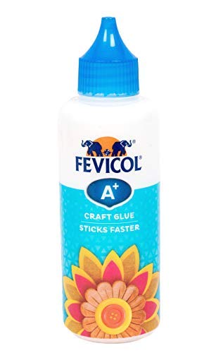 2X Pidilite Fevicryl Fabric Glue (80g) for sticking beads, sequins, lace,  ribbon