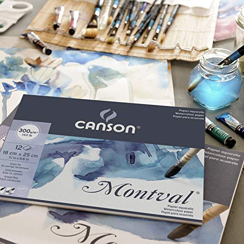 Canson Montval 300 GSM A4 Pack of 5 Fine Grain Sheets